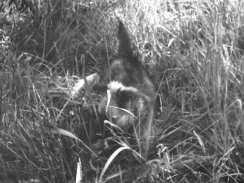 Foto 23